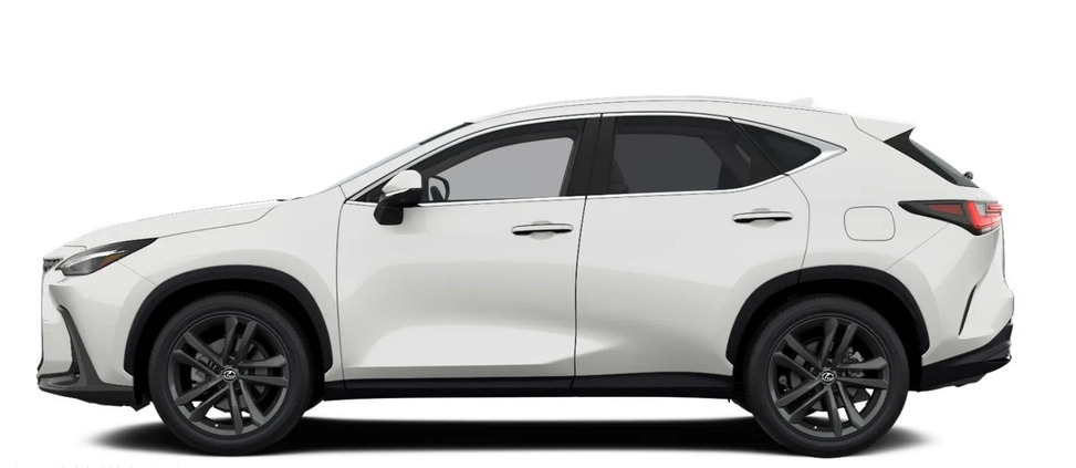 Lexus NX cena 268400 przebieg: 10, rok produkcji 2024 z Krośniewice małe 79